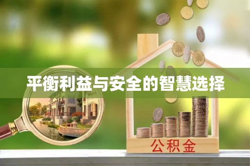 源城平衡利益与安全的智慧选择
