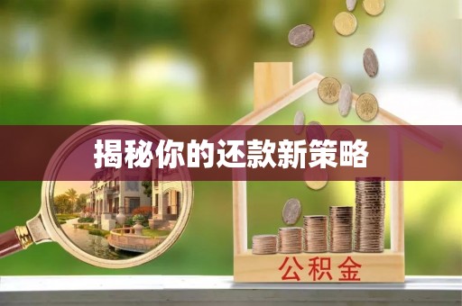 源城揭秘你的还款新策略
