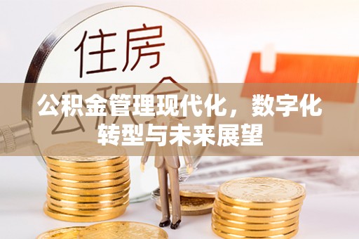 源城公积金管理现代化，数字化转型与未来展望