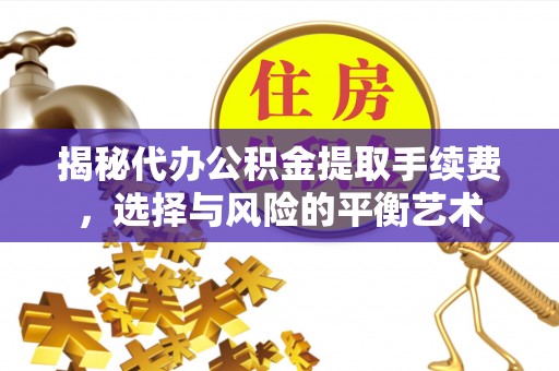 源城揭秘代办公积金提取手续费，选择与风险的平衡艺术