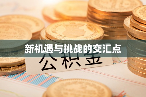 源城新机遇与挑战的交汇点