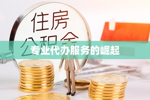 源城专业代办服务的崛起