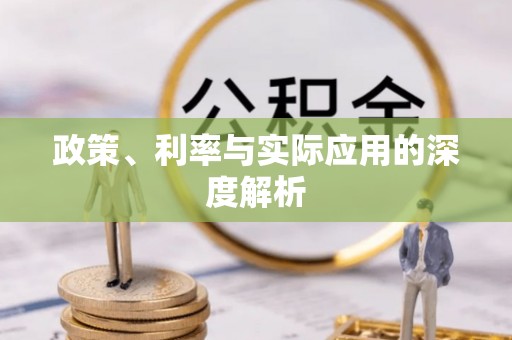 源城政策、利率与实际应用的深度解析