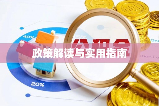 源城政策解读与实用指南