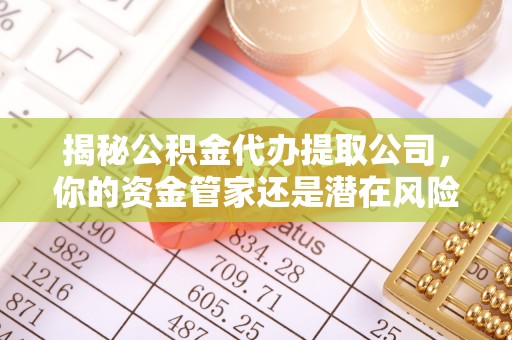 源城揭秘公积金代办提取公司，你的资金管家还是潜在风险？