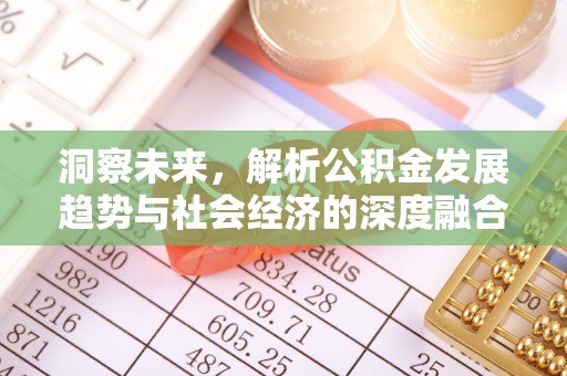 源城洞察未来，解析公积金发展趋势与社会经济的深度融合