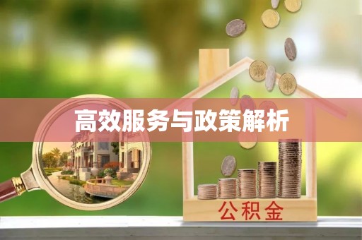 源城高效服务与政策解析
