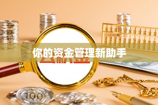 源城你的资金管理新助手