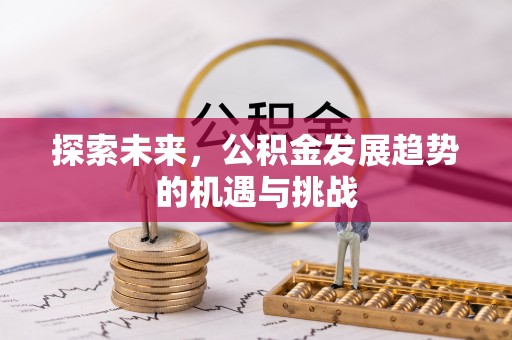 源城探索未来，公积金发展趋势的机遇与挑战