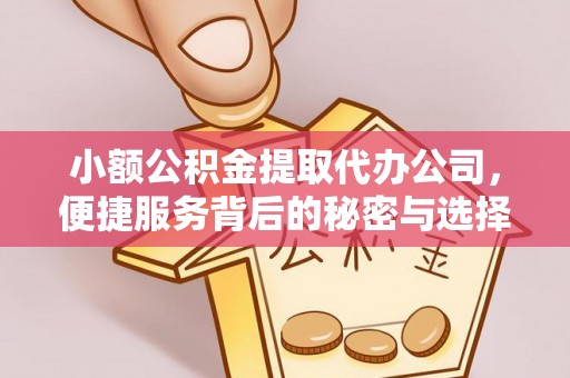 源城小额公积金提取代办公司，便捷服务背后的秘密与选择指南