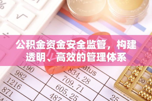 源城公积金资金安全监管，构建透明、高效的管理体系