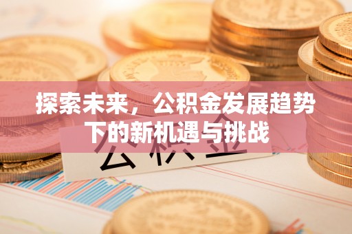 源城探索未来，公积金发展趋势下的新机遇与挑战