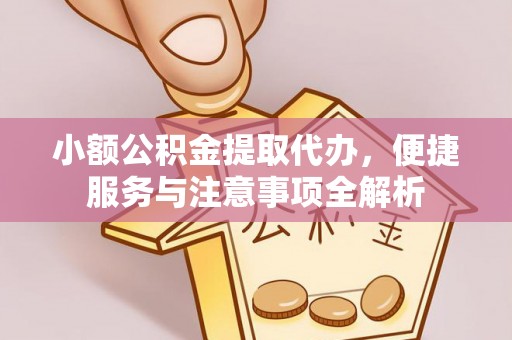 源城小额公积金提取代办，便捷服务与注意事项全解析