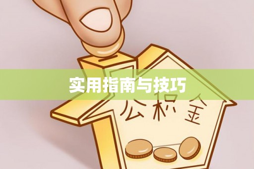 源城实用指南与技巧