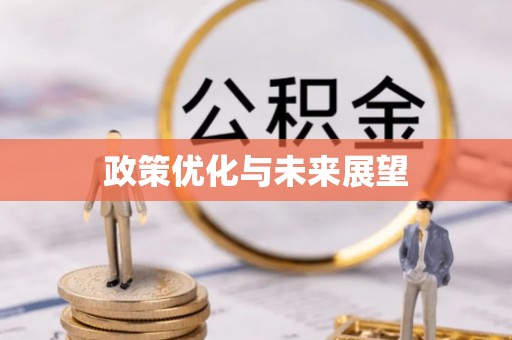 源城政策优化与未来展望