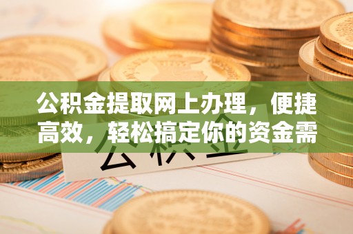 源城公积金提取网上办理，便捷高效，轻松搞定你的资金需求