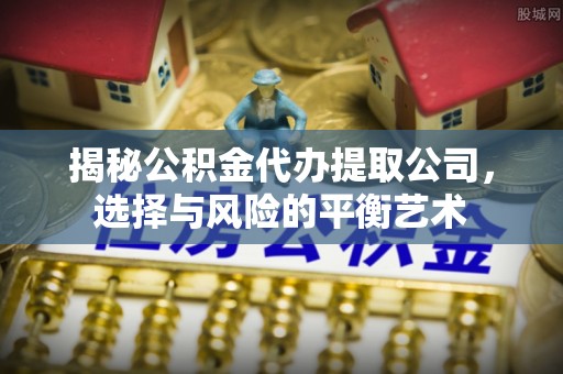 源城揭秘公积金代办提取公司，选择与风险的平衡艺术
