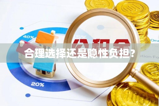 源城合理选择还是隐性负担？