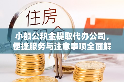 源城小额公积金提取代办公司，便捷服务与注意事项全面解析