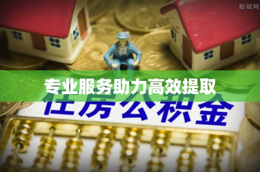 源城专业服务助力高效提取
