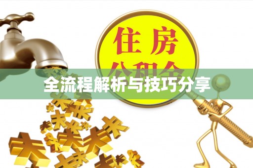 源城全流程解析与技巧分享