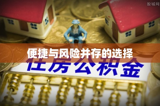 源城便捷与风险并存的选择